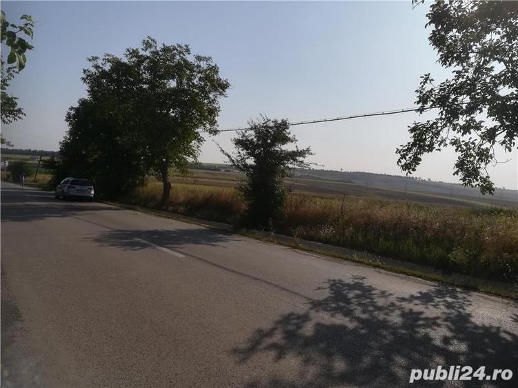Teren de 5000 mp, în Cristești