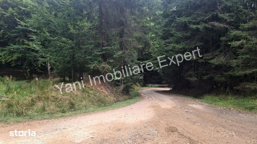 Teren de vanzare pe Transfagara?an, zona Molivi?u ( 69.450 mp ) - 7