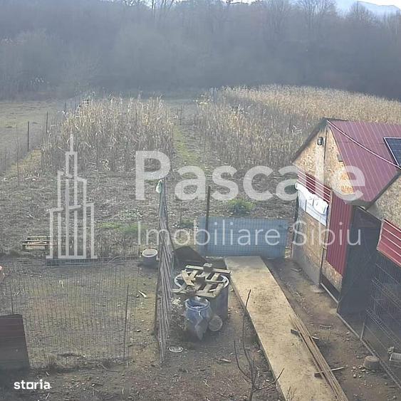 TEREN DE VANZARE TALMACIU, ZONA INTRE IAZURI - 1