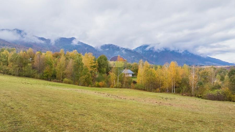 Teren Construcții intravilan de 1500 mp, în Tohănița