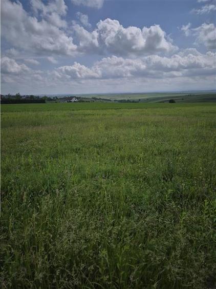 Teren agricol extravilan de 800 mp, în Moara Nica