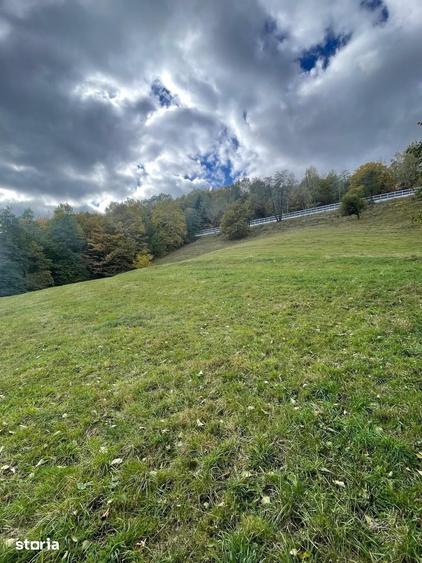 Teren extravilan cu priveliste catre Bucegi Moieciu de Jos 4.700 mp - 14