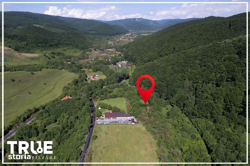 Spațiu comercial, în Câmpu Cetății