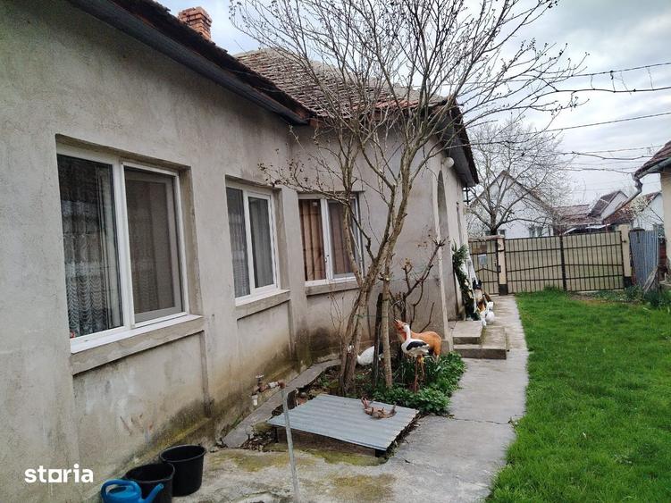 Casă cu 3 camere cu Teren 1079 Mp în Șepreuș