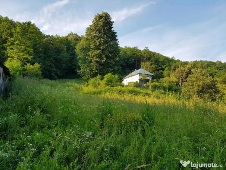 Teren de 7000 mp, în Ștubeie Tisa