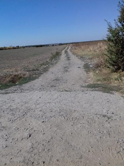 Teren Construcții intravilan de 120000 mp, în Est