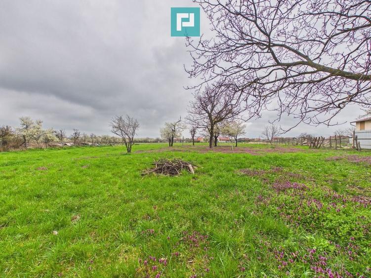 Teren Construcții intravilan de 2777 mp, în Felcheriu