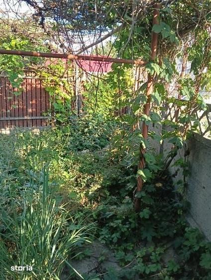 Navodari strada Pescarusului , vand teren 500 mp cu casa veche - 2