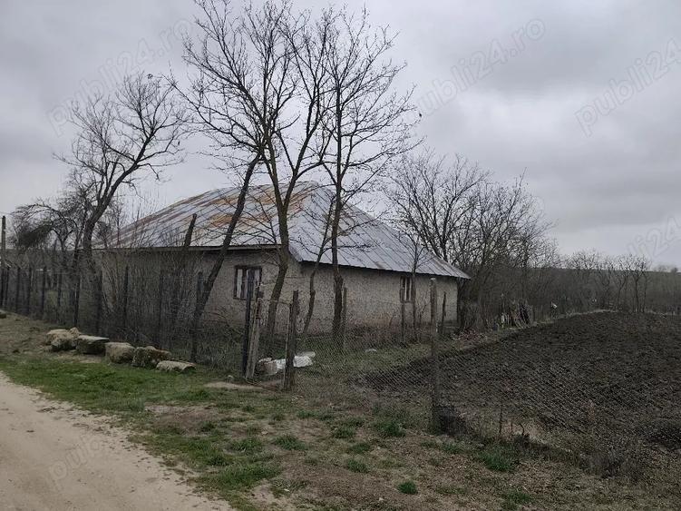 Casă cu Teren 1700 Mp în Băbăița