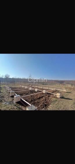 Teren Snagov aproape de padure de vanzare/inchiriere