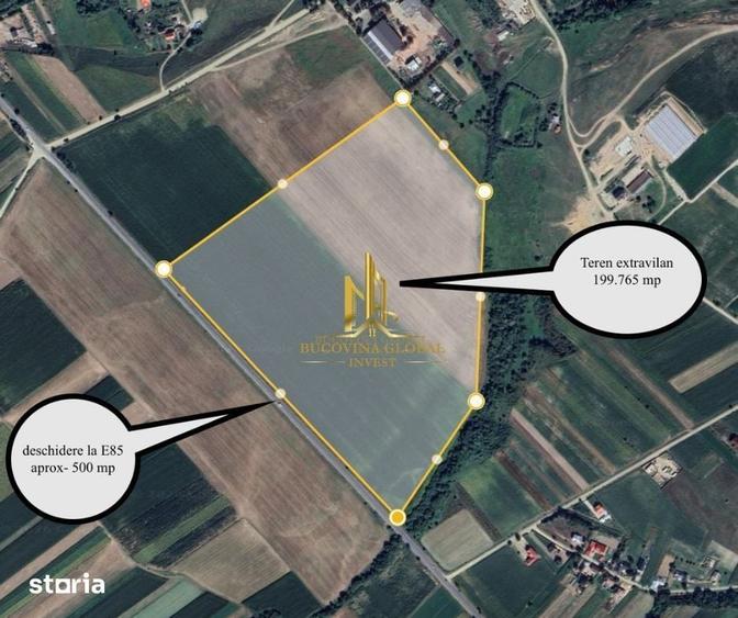 Teren de 199800 mp, în Șcheia
