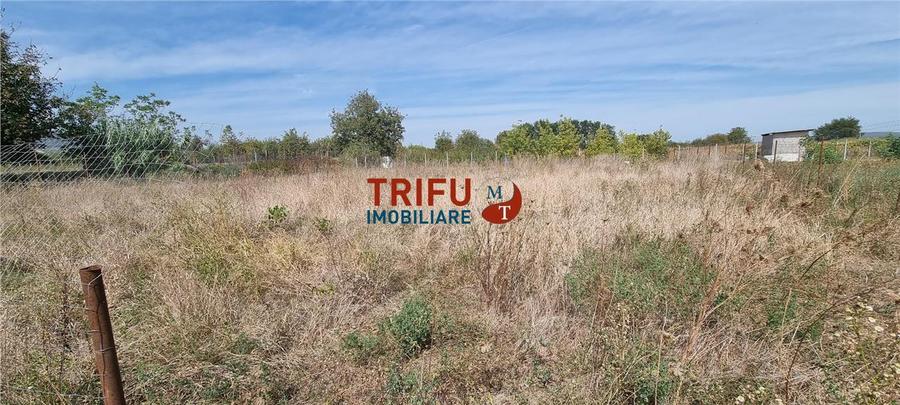 Teren Construcții intravilan de 1316 mp, în Partoș