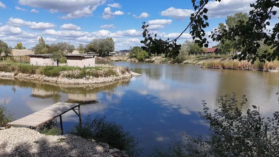 Spațiu comercial, de 4,700,000 mp, în Ineu