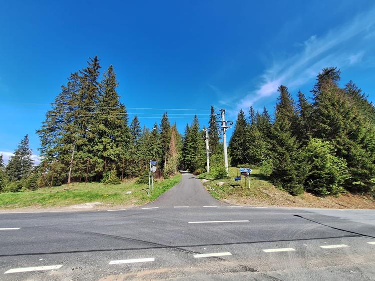 Teren Construcții intravilan de 7000 mp, în Păltiniș