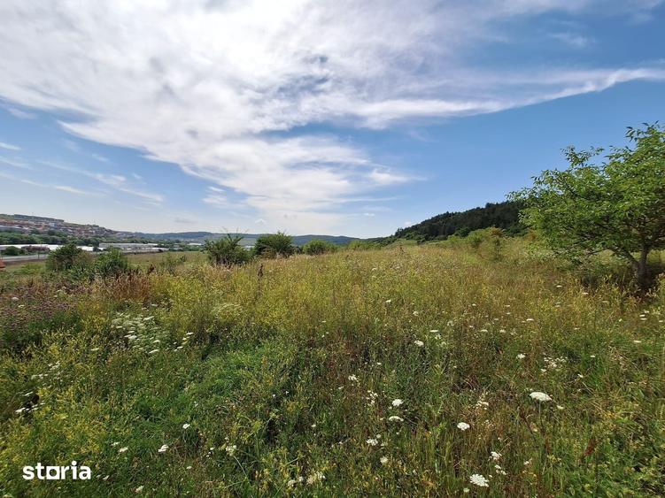 Teren de 5800 mp, în Baciu