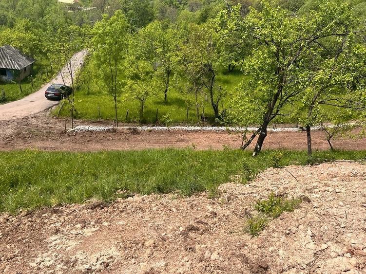 Teren de 2000 mp, în Brebu
