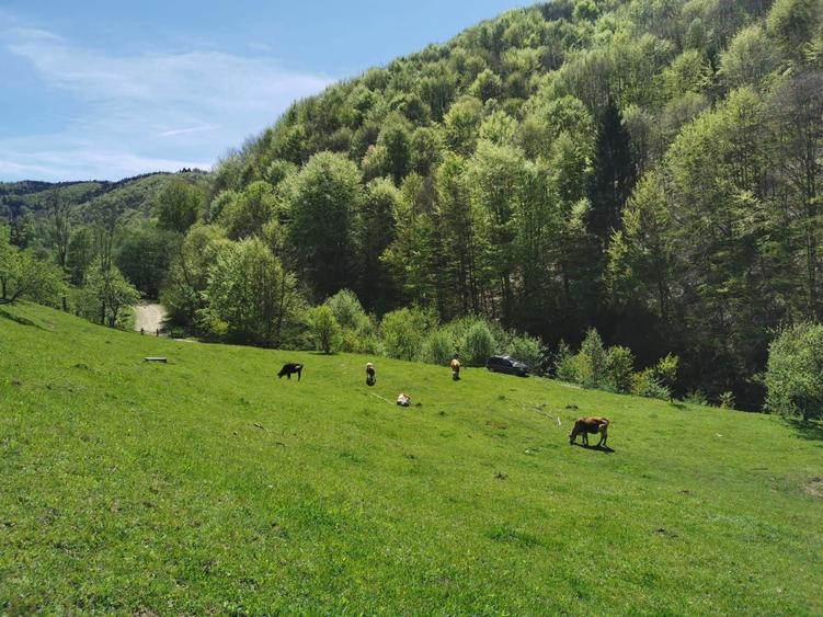 Spațiu comercial, în Rebrișoara
