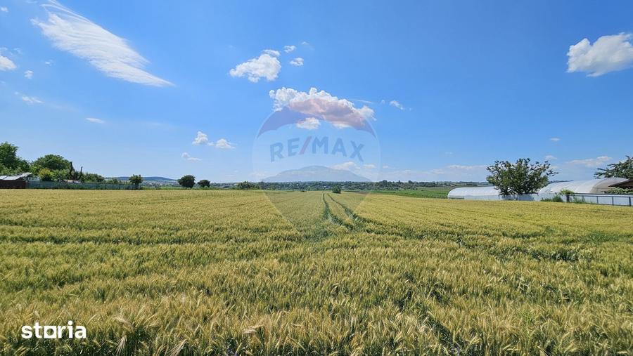 Teren de 15000 mp, în Central