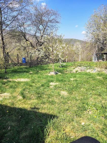 Teren de 531 mp, în Sibiel