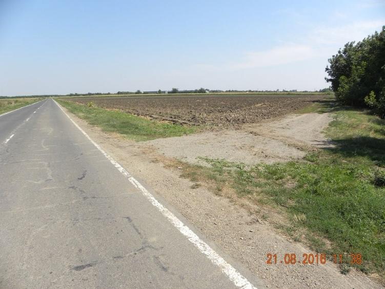 Teren de 5000 mp, în Cazasu