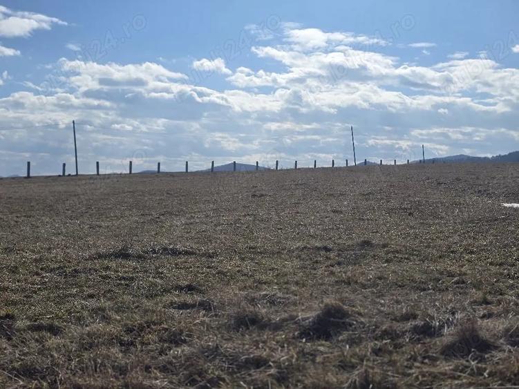 Teren de 3600 mp, în Central