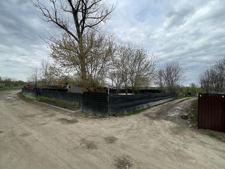 Teren de 450 mp, în Micălaca