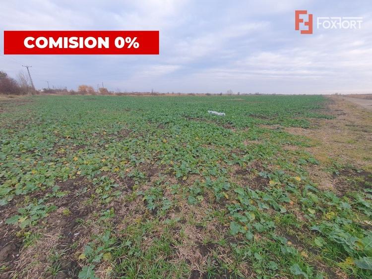 Teren agricol extravilan de 213257 mp, în Sud