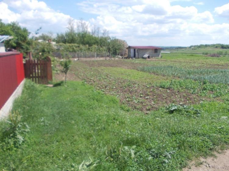 Casă individuală cu 5 camere cu Teren 1500 Mp în Dragalina (Cristinești)