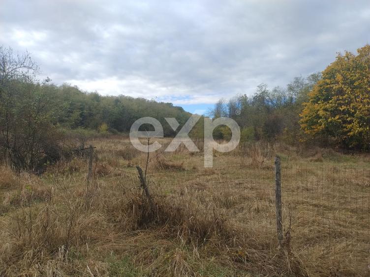 Teren Construcții intravilan de 2850 mp, în Albota