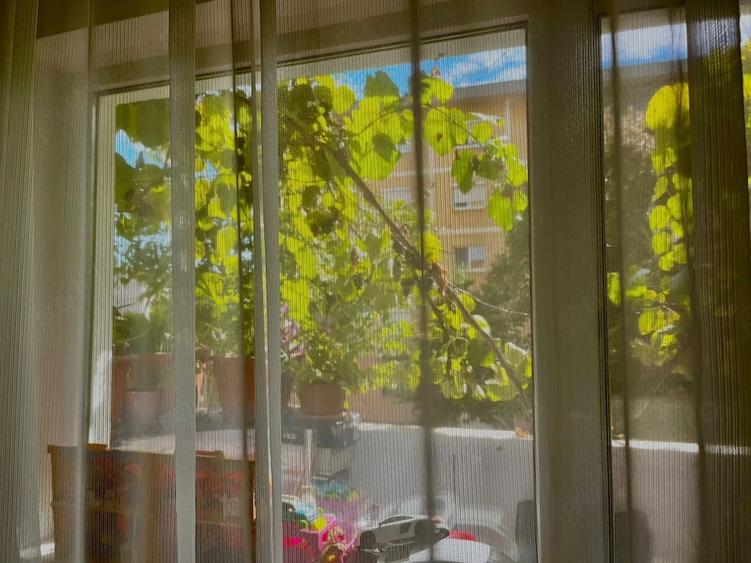 Apartament cu 4 camere semidecomandat în Micălaca