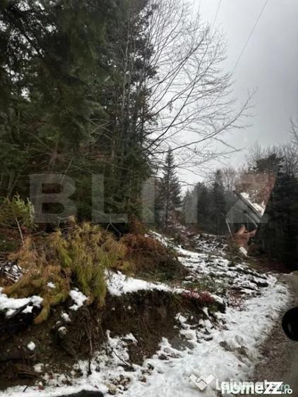 Teren de 4000 mp, în Calea Moroieni