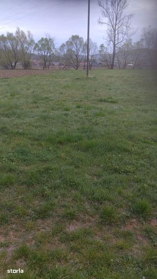 Vand Teren Extravilan 1400 mp in Sat Fodora jude?ul Cluj - 2