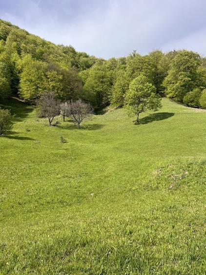 Vand teren Siriu - 1