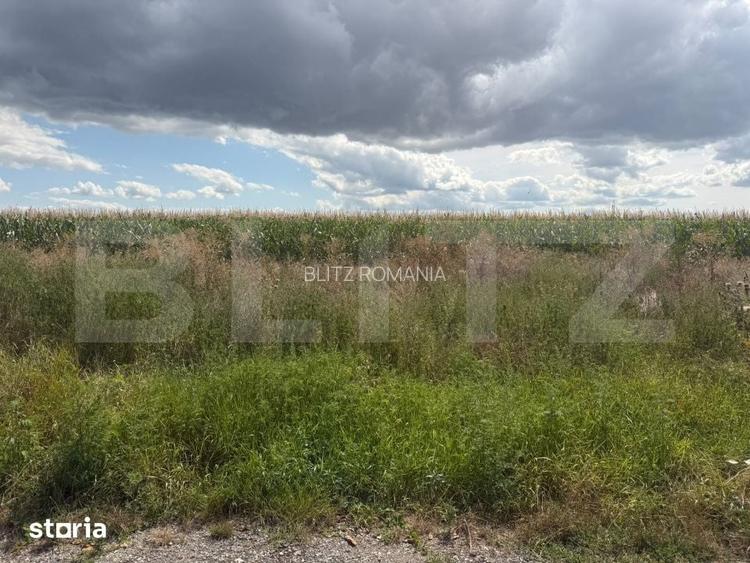 Teren de vanzare, 1.800 mp, zona Turda Cartier Primaverii