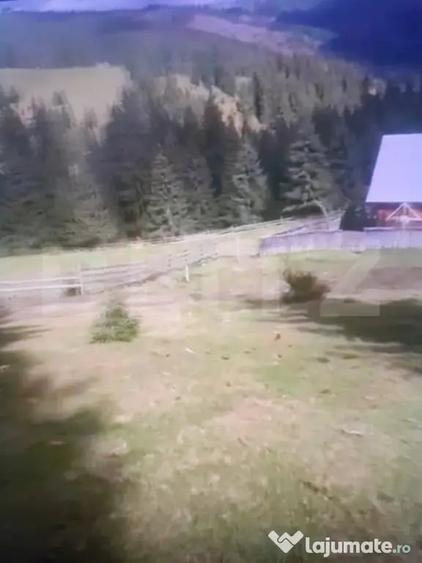 Teren extravilan in comuna Panaci, 15000 mp, oportuintate u - Suceava (Suceava) - 2