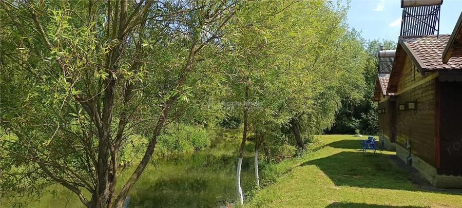 Casă cu Teren 2693 Mp în Gornea