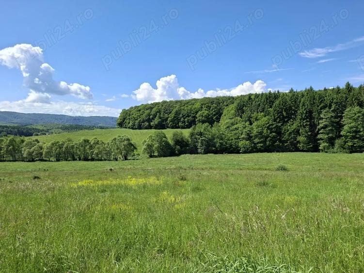 Teren de 670 mp, în Vlădeni