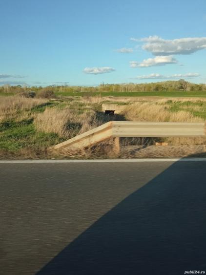 Teren de 5000 mp, în Drânceni