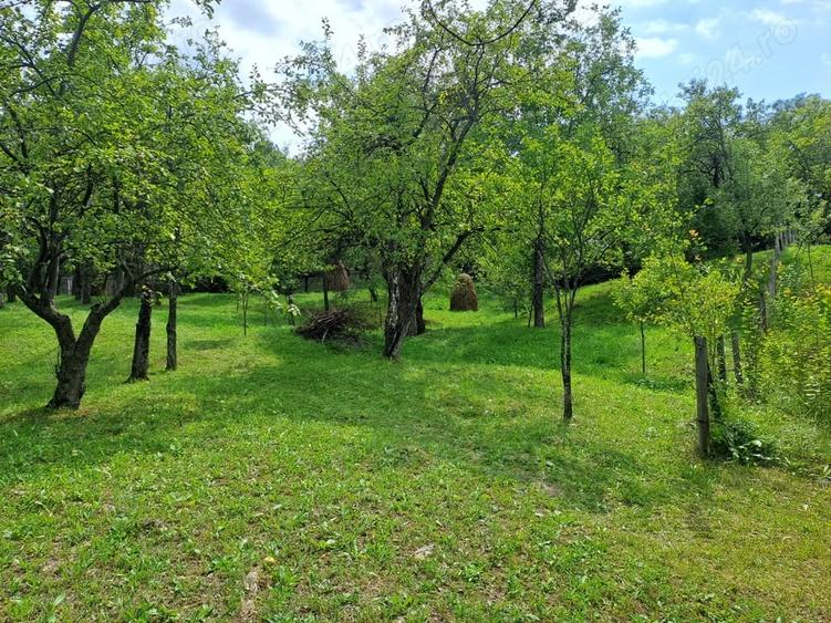 Teren în Șotrile