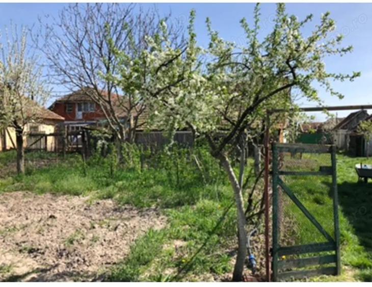 Casă cu Teren 3000 Mp în Ianoșda