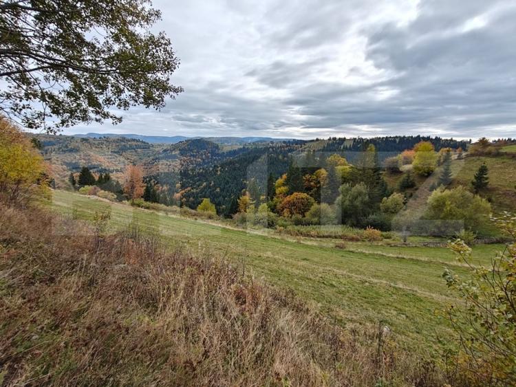Teren Construcții extravilan de 4700 mp, în Mărișel