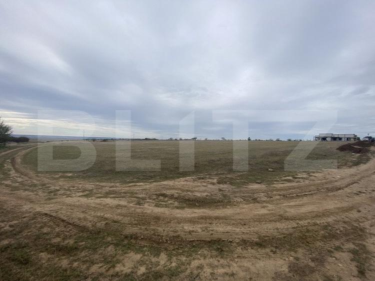 Teren Construcții intravilan de 15000 mp, în Est