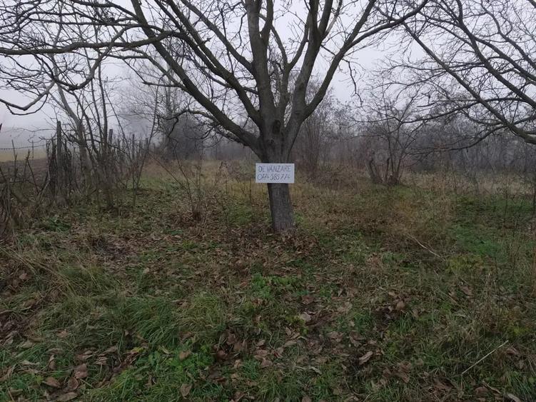 Teren de 1300 mp, în Găgești