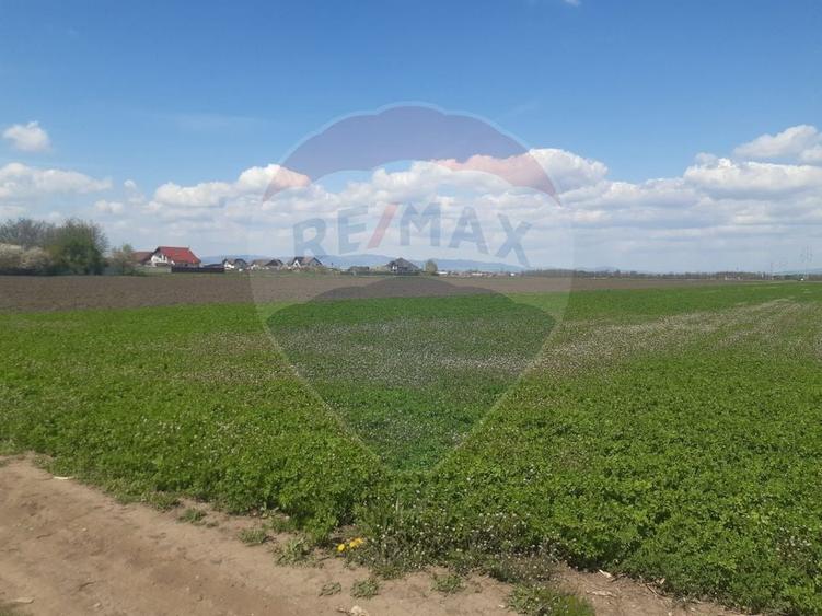 Teren Construcții intravilan de 2730 mp, în Stupini