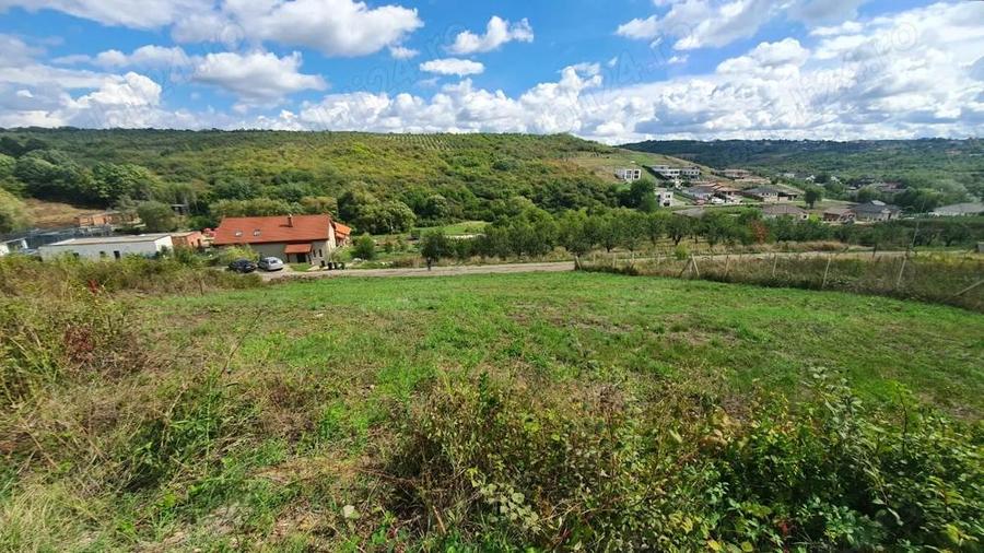 Teren de 1000 mp, în Săldăbagiu de Munte