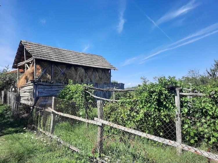 Casă cu 2 camere cu Teren 30 Mp în Târgu Logrești