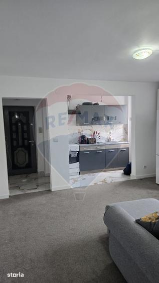 Apartament cu 2 camere de vanzare in Gura Campului - 4