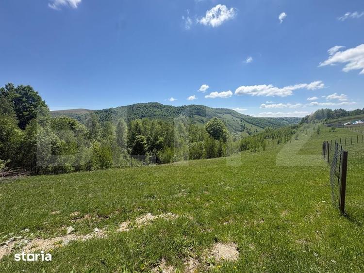 Teren de 5000 mp, în Băișoara
