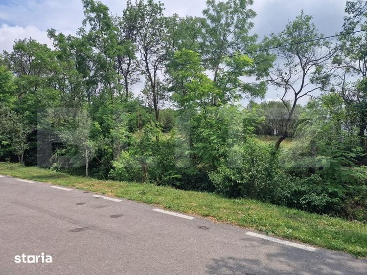 Teren de 900 mp, în Borșa