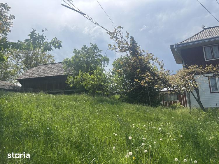 Casa de vanzare cu doua cur?i, livada ?i anexe 2600 mp - 17